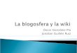 La Blogosfera Y La Wiki