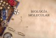 Biolog­a molecular