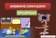 fisiopatologia convulsiones y epilepsias