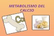 Metabolismo del calcio majo