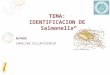 Identifcacion De Salmonellas