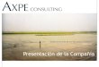 AXPE Consulting: presentación de la compañía 2013