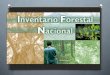 Inventario forestal