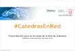 Catedras en red 110606 upf social media
