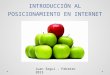 Introducción al Posicionamiento en Internet v2.0 (2013)