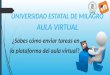 Manual aula virtual 2