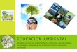 La educacion ambiental proyecto final