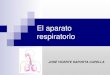El aparato respiratorio (diapositivas)