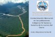 Contaminación mercurial en los Ye´kwana y Sanema de la cuenca del Caura