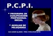 PRESENTACIÓN DEL PCPI "AUXILIAR DE PELUQUERÍA"
