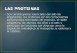 Las proteinas. Clasificacion de las proteinas