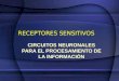 Clase 4 - Receptores Sencitivos - Circuitos Neuronales Para El Procesamiento De La Información