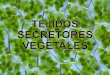 Tejidos secretores vegetales - Marina Robleño