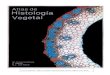 Atlas de histología vegetal