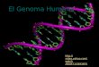 El genoma humano de nazarena, gisella y juan ignacio