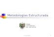 Metodologia Estructurada - Análisis -