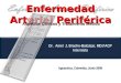 Enfermedad Arterial Periférica, Amel Bracho