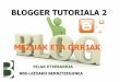 Blogger tutoriala: sarrera eta hegalak