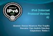 I pv6 (internet protocol version 6)