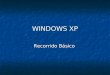 Windows Xp Basico