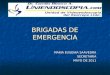 1. brigadas de emergencia
