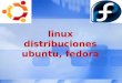 Ubuntu  y fedora linux