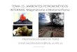 Tema 15. Procesos PetroxenéTicos Internos I.Vulcanismo