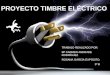 Power point proyecto timbre 2010-11