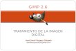 Tutorial de GIMP - José David Vásquez Delgado
