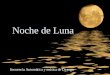 Noche de Luna (Romina Soledad Bada)