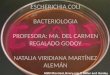Escherichia coli bacteriologia