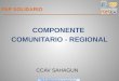 Componente Comunitario Regional