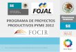 Programa de proyectos productivos 2012