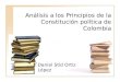 Principio de la constitucion politica de colombia
