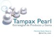 Estrategia de producto y marca:  Tampax Pearl