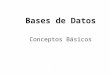 Conceptos de bases de datos