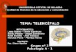 Telencefalo (1)