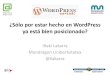 Seo para wordpress Euskadi   2014 Iñaki Lakarra