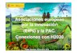 20121210 EIPs Y LA PAC. CONEXIONES CON H2020: Isabel Bombal