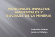 Principales impactos ambientales y sociales de la mineria