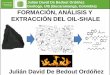 OIL-SHALE ESTUDIO GEOQUÍMICO COMPLETO