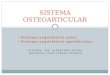 Sistema Osteoarticular