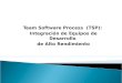 Team Software Process  (TSP)