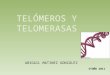 Telomeros y telomerasas en el envejecimiento