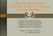 Inv   Cancer De Cervix  Cuales Son Las Cifras En Colombia