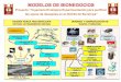 Modelo de bionegocio