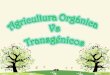 Agricultura orgánica vs transgénicos