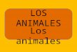 Los Animales Practica4