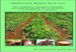Instructivo tecnico del cultivo de la yuca ,msc. ing. francisco martin armas