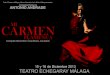 Mi Carmen Flamenca